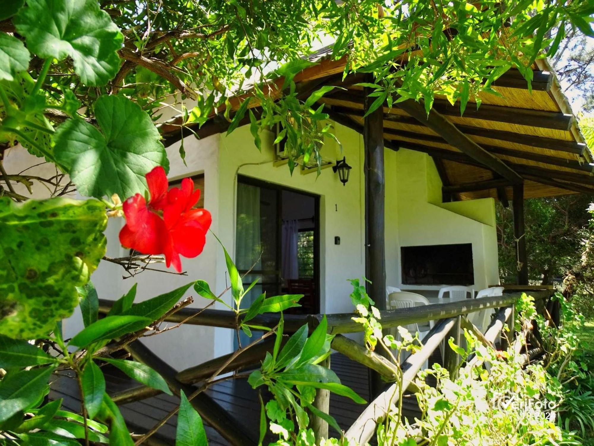 Bungalows Punta Colorada Piriapolis Exterior photo